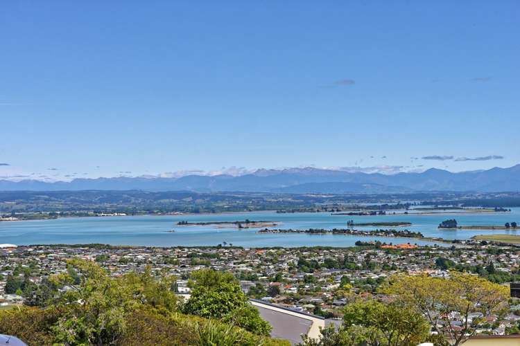 106 Panorama Drive Enner Glynn_2