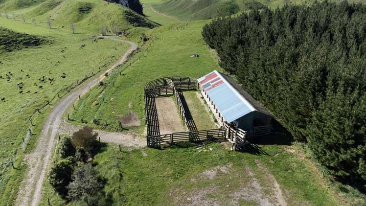 248 Lichenstein Road Okere Falls_8