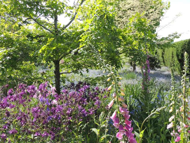 56 Burgess Road Oamaru_17