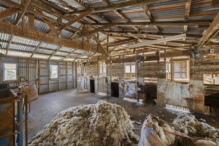 1002 Te Akau Road Te Akau_9