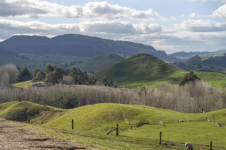 Lot 2 Whakapapa Road Ohakuri_21