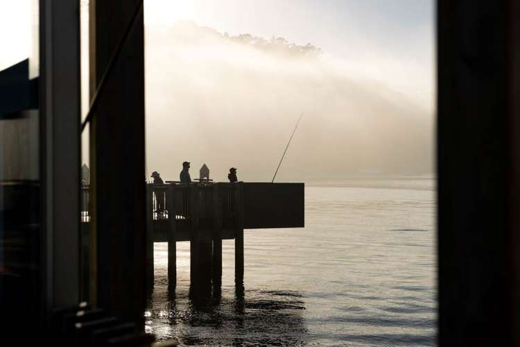 50 Westgate Drive Massey_10