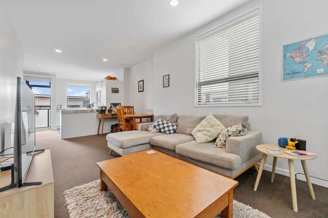 11 Mary Street Mount Eden_1