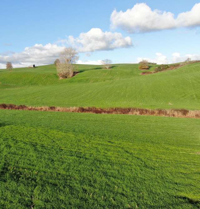 Waitomo Caves Road Waitomo_4