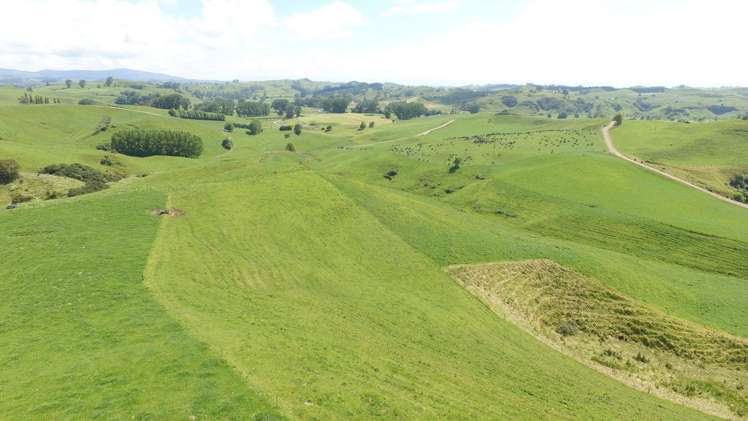 444 State Highway 1 Arapuni_10