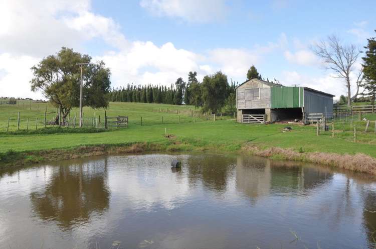 274 Partridge Road Wellsford_11