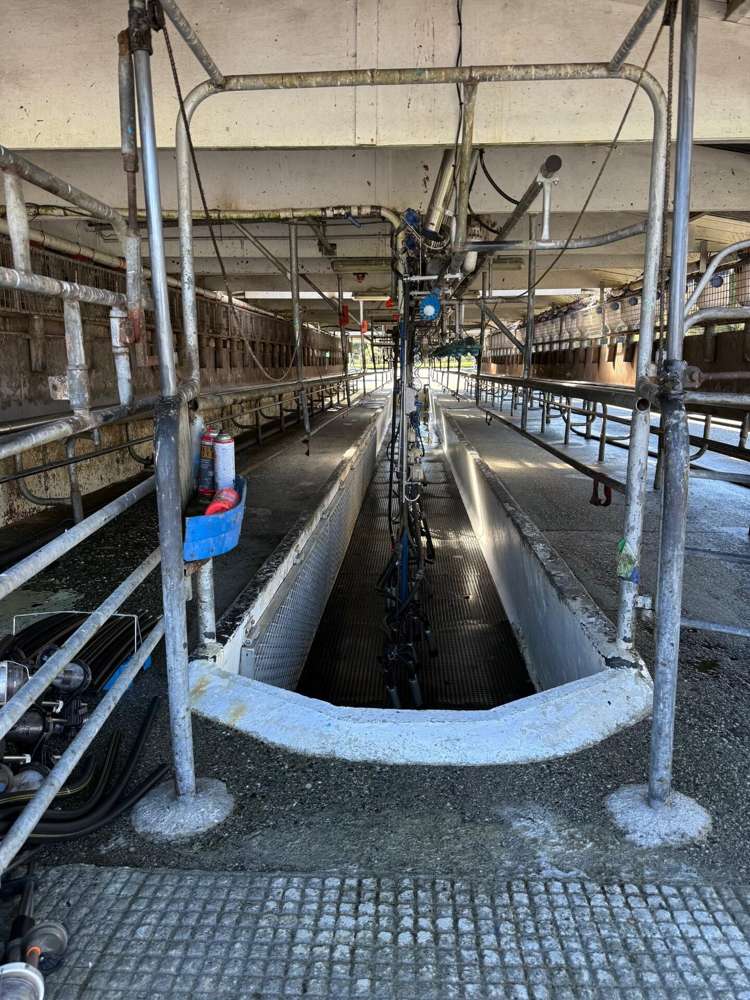 212-222 Municipal Road Kowhitirangi_7