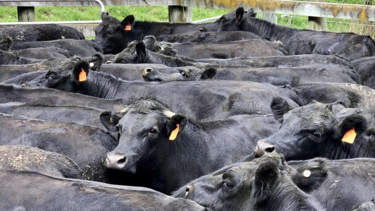 Millars Road Carterton_8