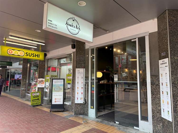 89 Courtenay Place Te Aro_0