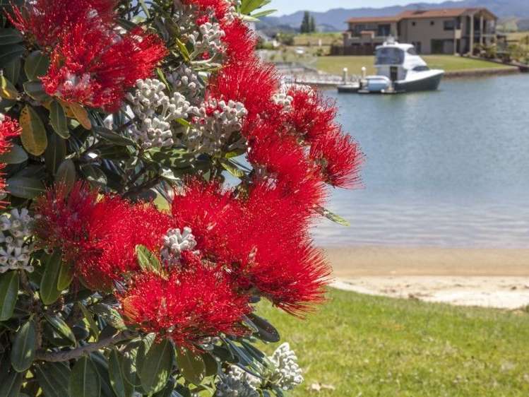 29 Arawa Lane Whitianga_23