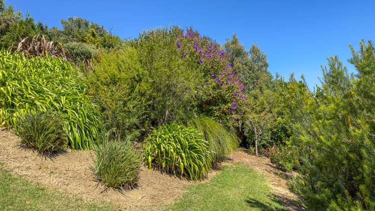 78B Bennett Road Te Mata_13