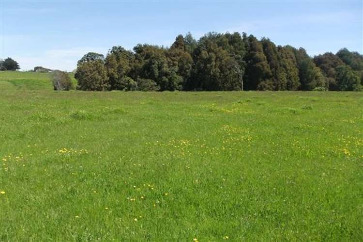 24 Ryland Park Levin_16