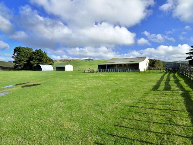 875 Waitahora Road Dannevirke_3