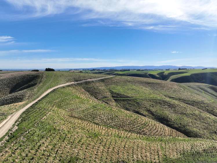 174 McCulloch Road Awamangu_7