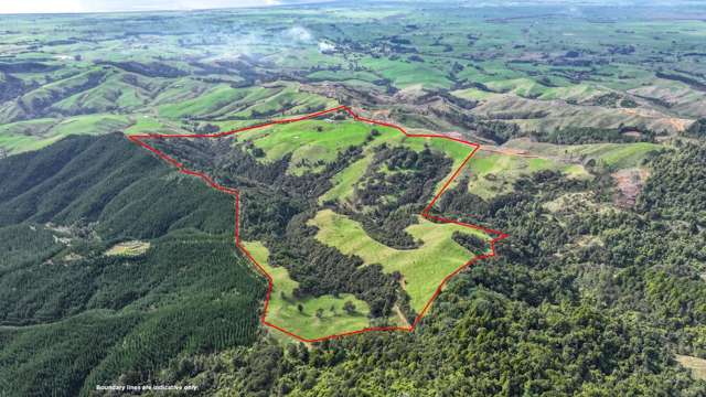 Grazing land, expansive views