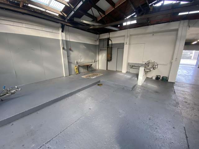 29 Battersea Street Sydenham_2