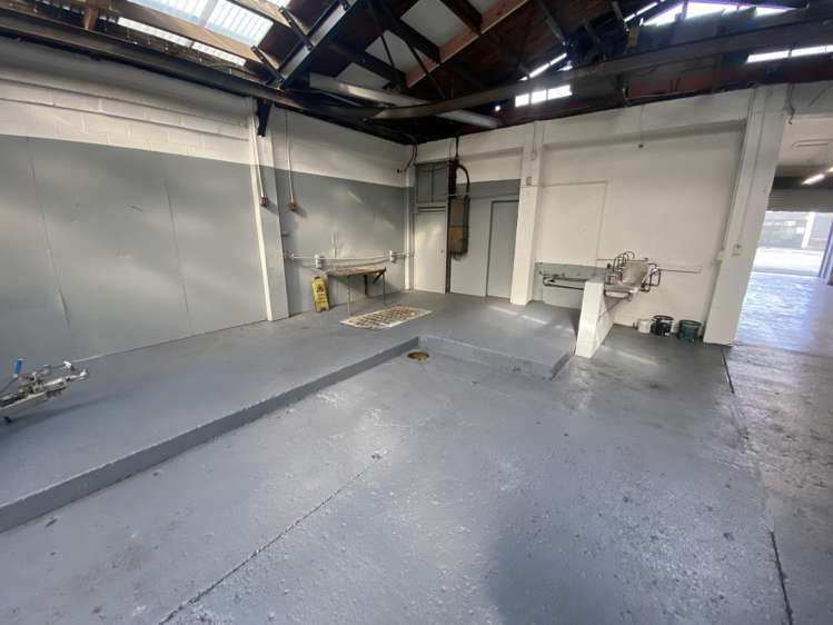 29 Battersea Street Sydenham_2
