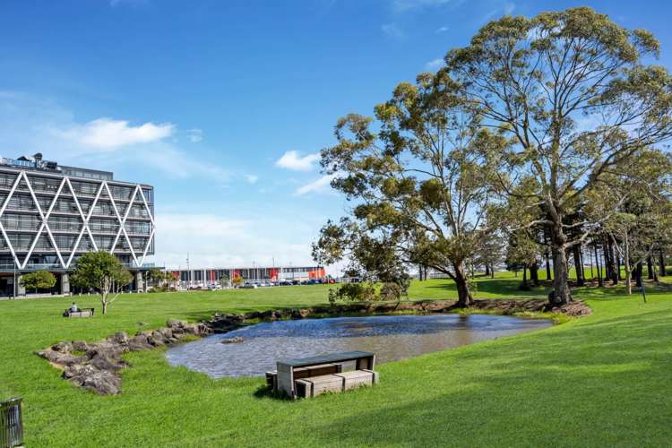 513/17 Putney Way Manukau_12