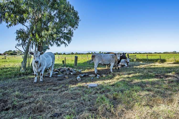 412 Drain Road Doyleston_22