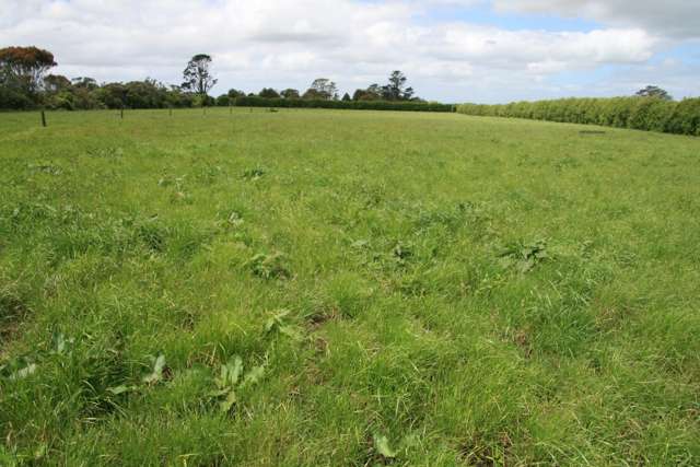 172 Radnor Road Midhirst_3