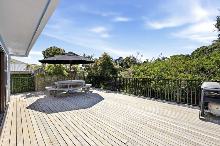 31A Haig Avenue Mt Roskill_2