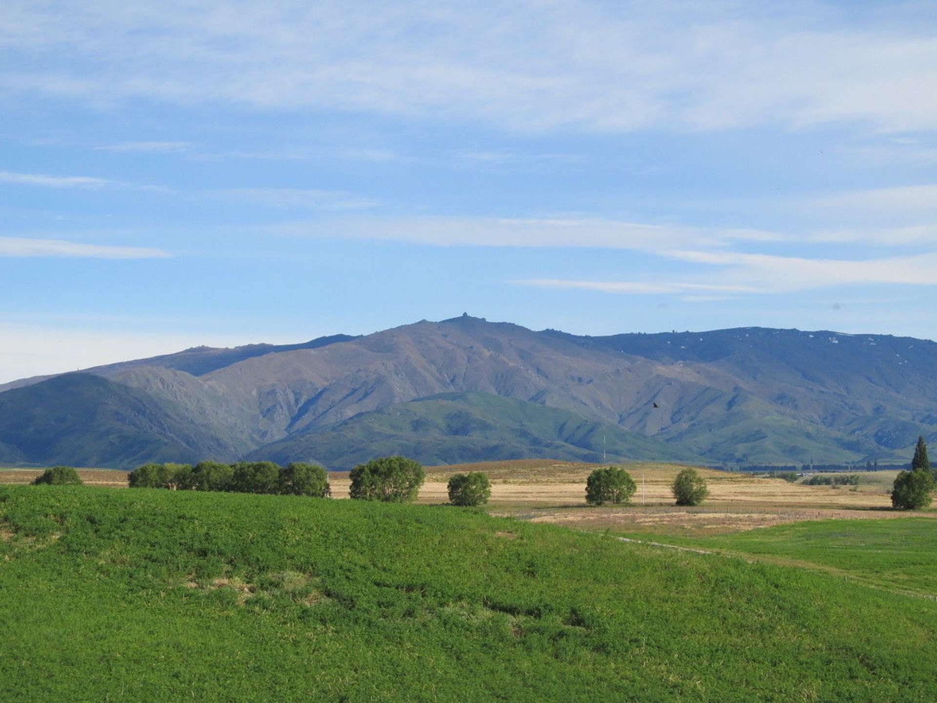 548 Springvale Road Alexandra_0