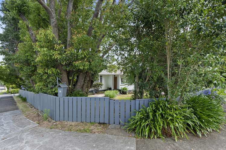 87 North Street Morrinsville_16