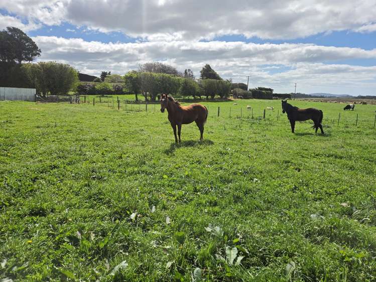 1183 Waianakarua Road Kakanui_12