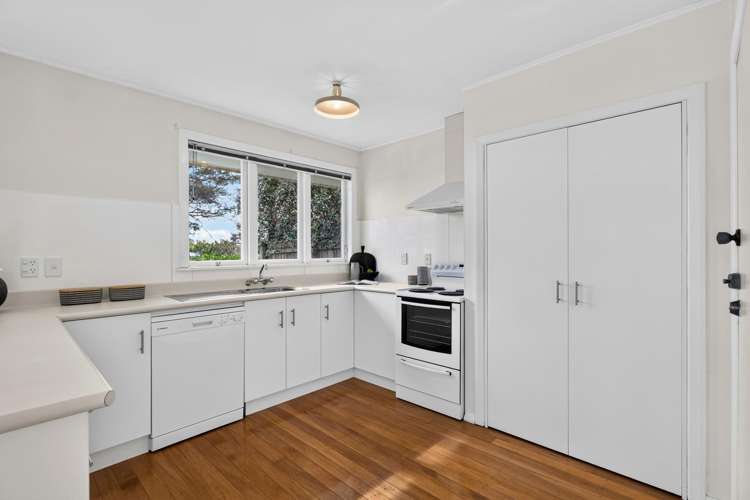 1/20 Van Diemen Street_5