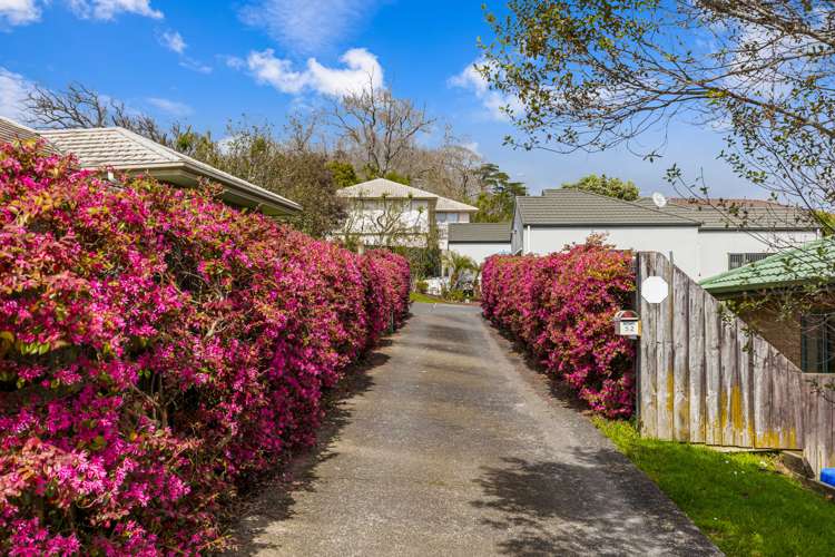 52 Hewlett Road Massey_8