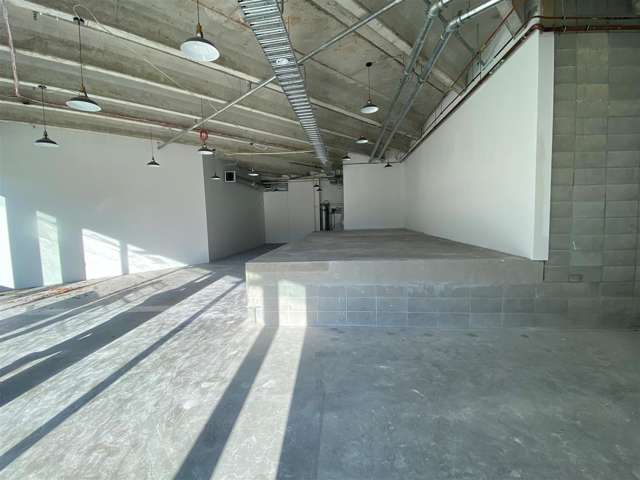 Part Ground Floor, 109 Ward Street Hamilton Central_3