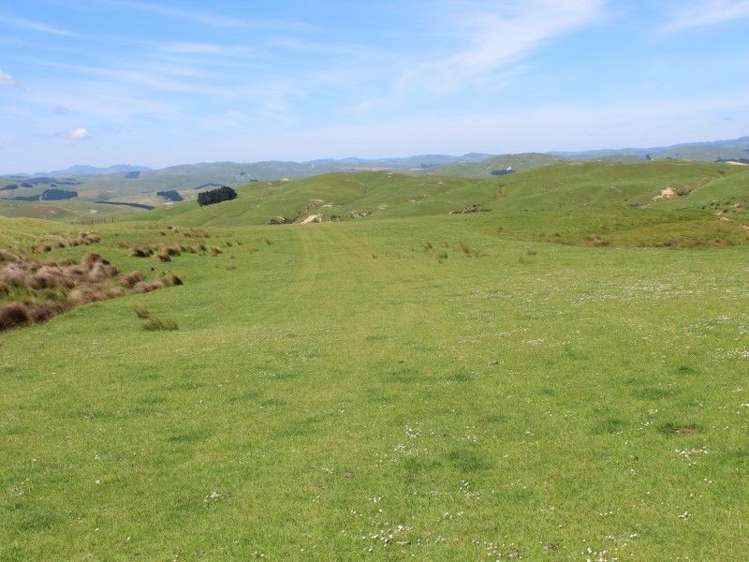 858 Oporae Road Weber_20