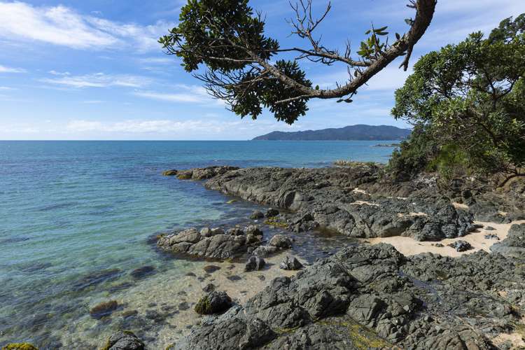 321 State Highway 10 Cable Bay_29