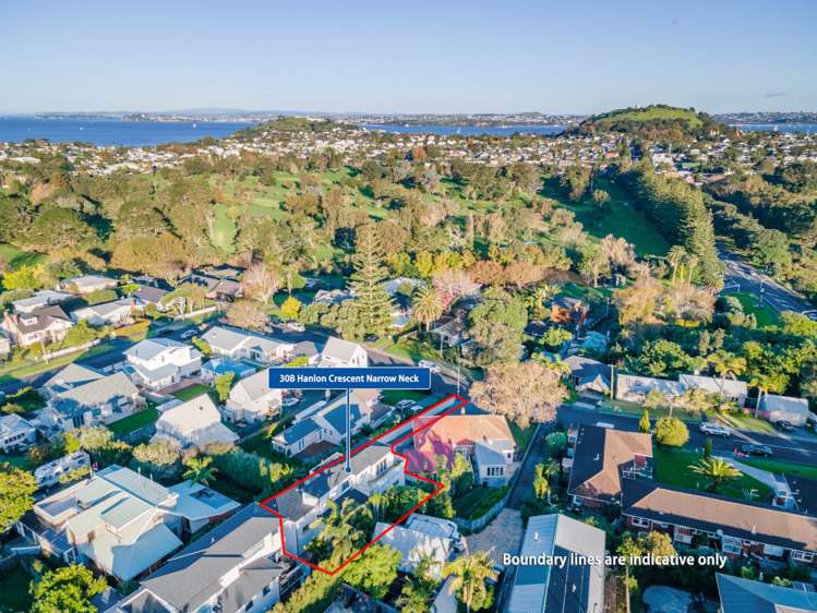 30b Hanlon Crescent Narrow Neck_22