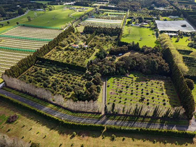 131 Tatton Road Maungatapere_22