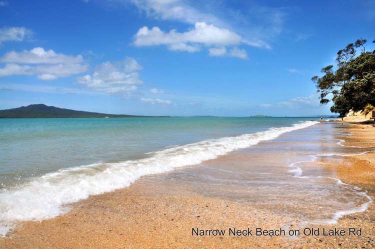 2/28 Hemi Street Narrow Neck_11