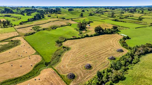 IMMACULATE GRAZING FARM