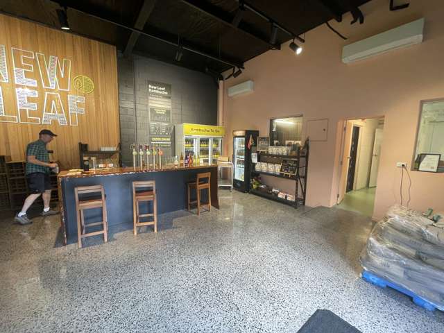 37a Crummer Road Grey Lynn_2