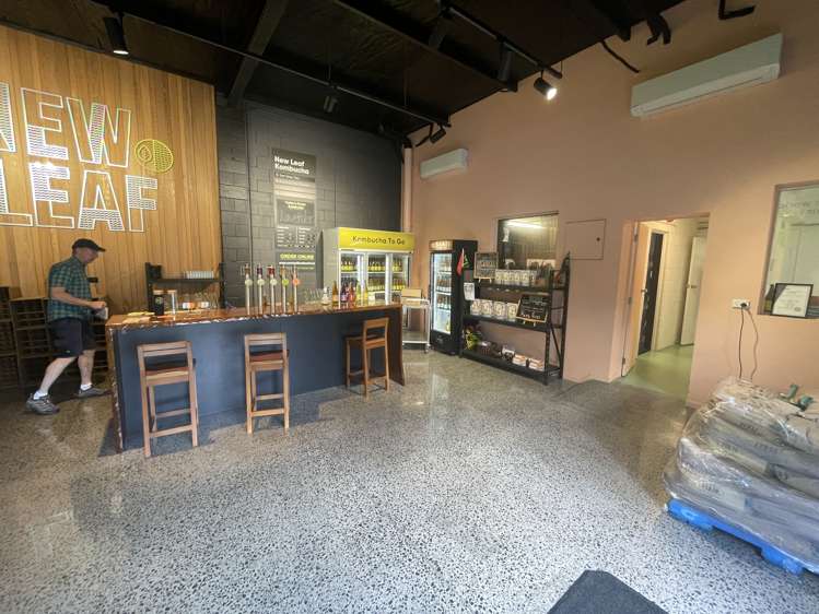 37a Crummer Road Grey Lynn_2