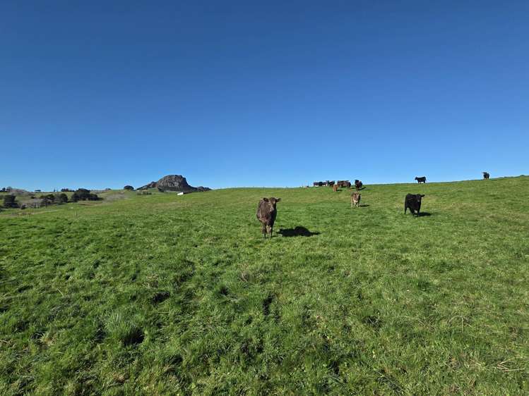 Lot 7 Mititai Road Dargaville_9