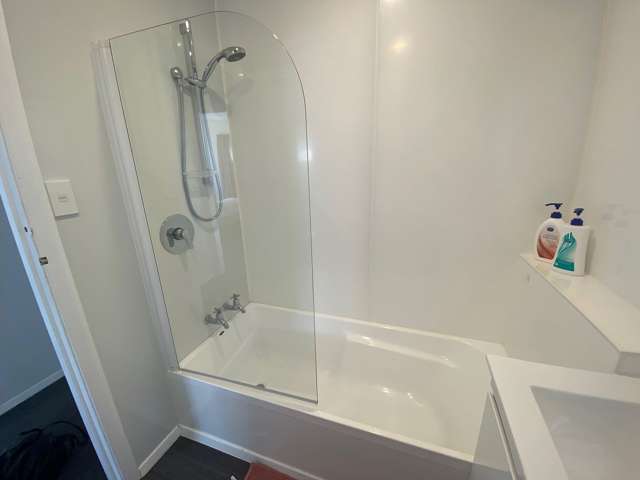 131A Ruskin Road Newlands_2