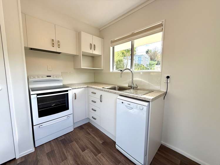 7B Rose Street Raglan_7