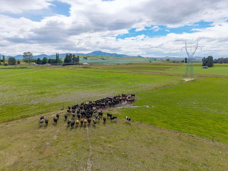 311 Hamilton Road Fairlie_5