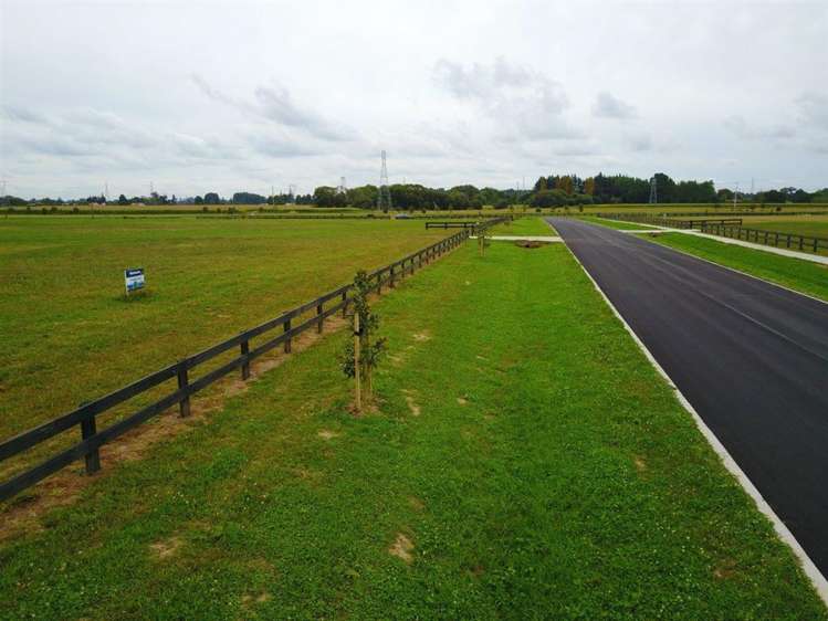 30 Margot Lane Matangi_1