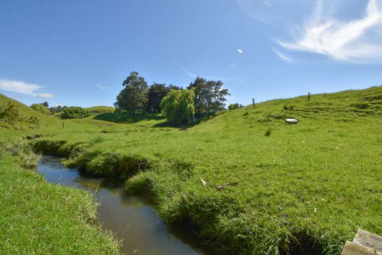 90 Millars Road Longbush_18