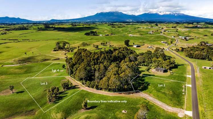 183 Warea Road Warea_7