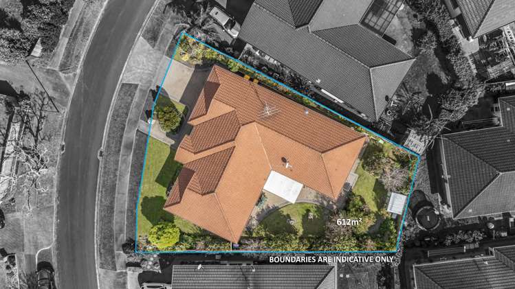 7 Highfields Terrace Henderson_16