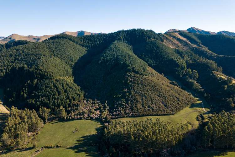 211 Blandswood Road Mesopotamia_12