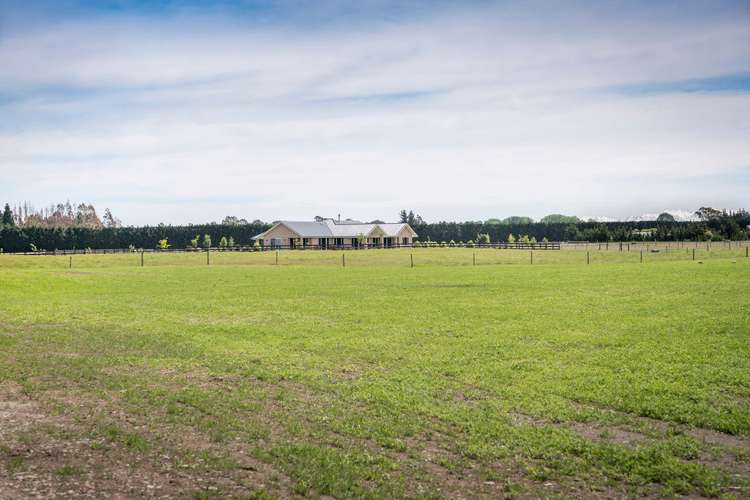 249 Curraghs Road Rolleston_17