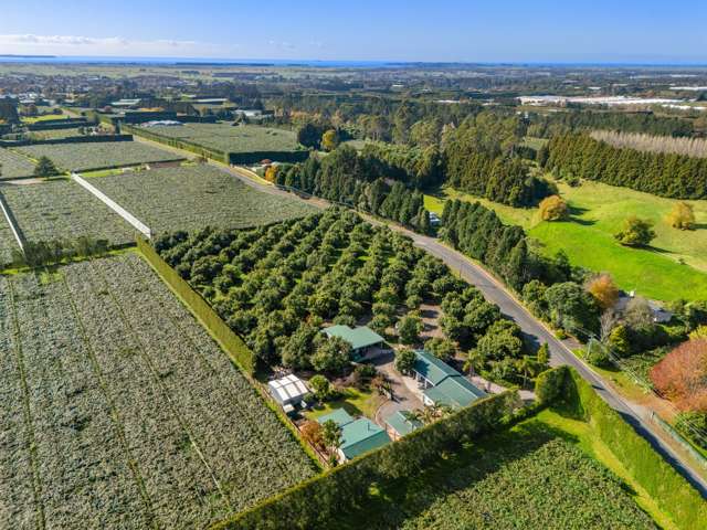 Fantastic Lifestyle, Avocados & Sheds Galore